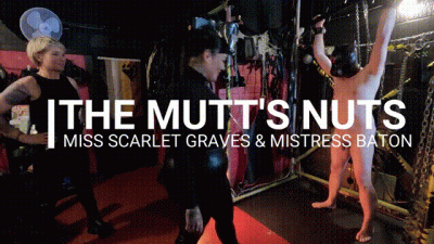 The Mutt's Nuts With Mistress Baton