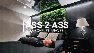 Ass 2 Ass