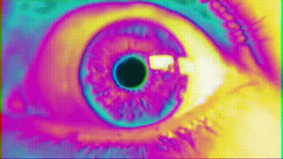 The Alpha Illusion, Beta Acceptance Training