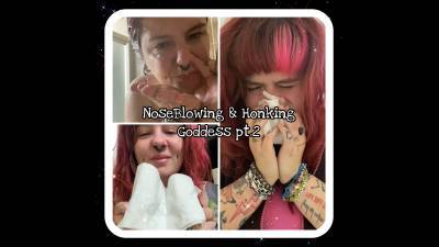 Noseblowing & Nosehonking Goddess Pt.2