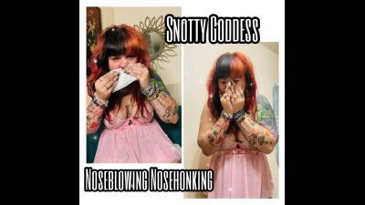 Snotty Goddess Noseblowing + Nosehonking