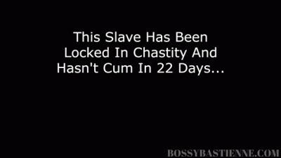 10 Minutes In Ballbusting Hell! Earn Your Right To Cum!!!