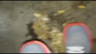 The Food Stomping Challenge 6!