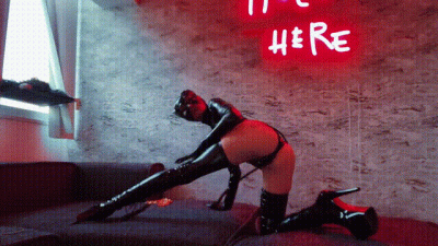 Barking For Catwoman