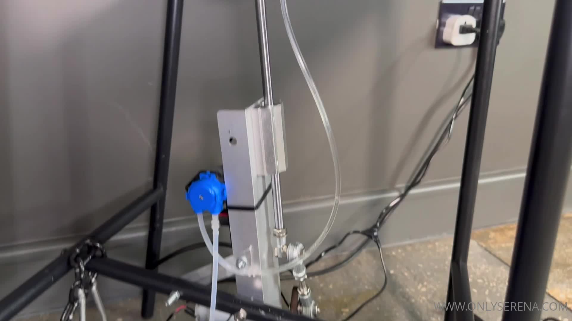 Dominant woman's control