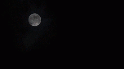 Let Me In Lesbian Creature Of The Night ASMR