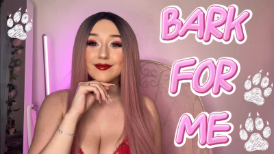 Bark For Me- Pet Praise POV