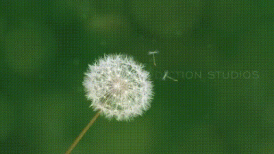 Busting Out On The Playground #1