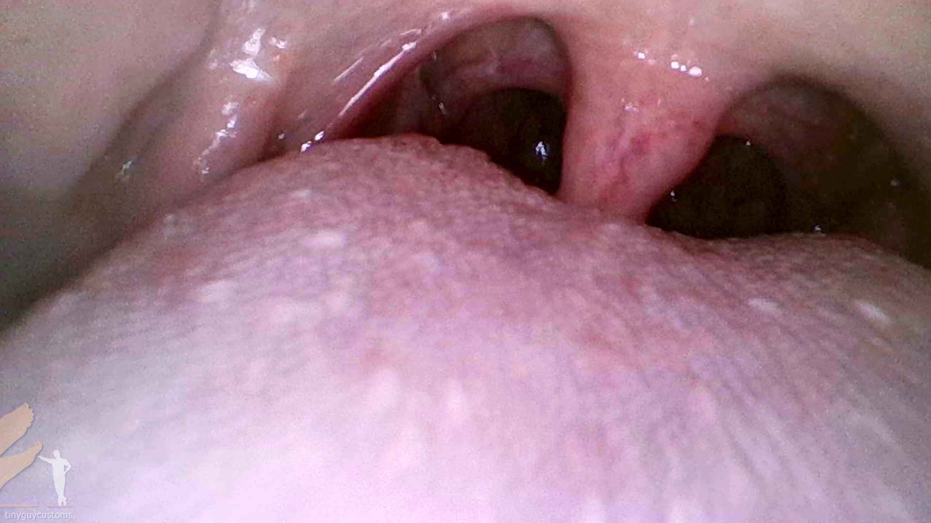 Mouth Cam- Miss Bat- 1080