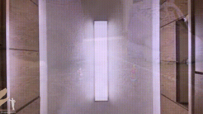 Harleen Unaware Tiny Bugs