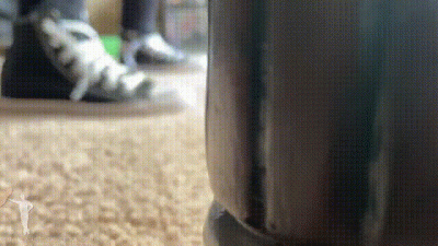 Zaurus Tiny Infestation Shoes Vore