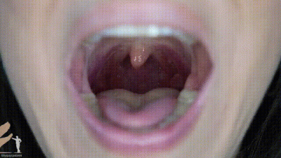 Sinn Sage Mouth Tour 4K