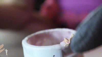 Harleen Unaware Yogurt Vore