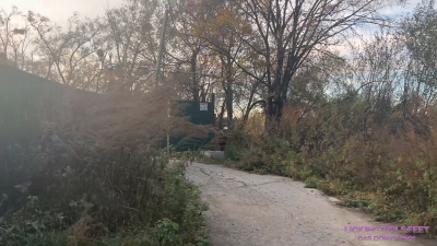 Jane And Sarah Let's Play Hide And Seek!