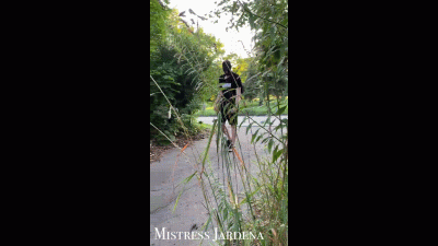 Exhibitionist And Maniac "90" Years