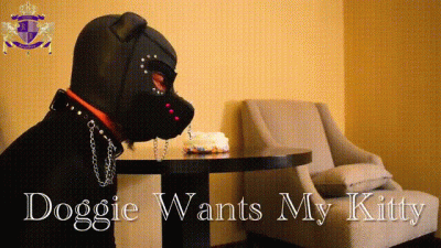 Doggie Wants My Kitty