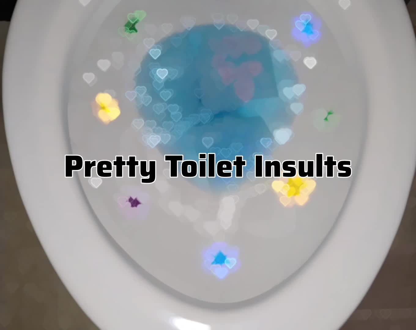 Pretty Toilet Insults