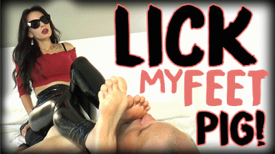 Lick My Feet, Pig!