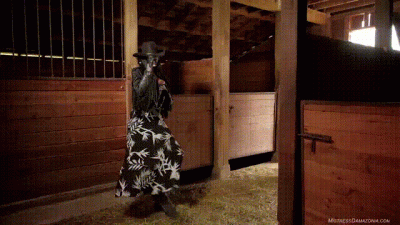 Yellowstone Ass Riding Ranch
