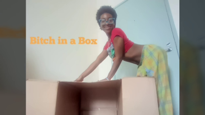Bitch In A Box