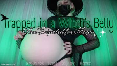 Belly Fetish - Porn Video Clips For Sale at iWantClips - Page 35