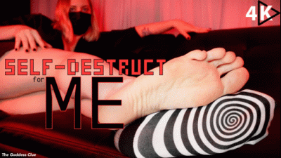Self-Destruct For Me 4K