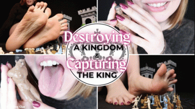 Destroying A Kingdom And Capturing The King HD