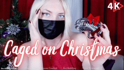 Caged On Christmas 4K