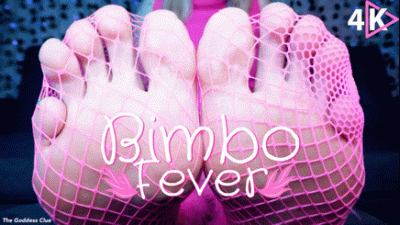 Bimbo Fever 4K