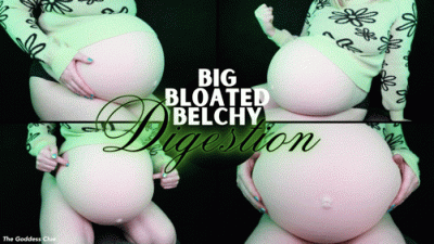 Big Bloated Belchy Digestion HD