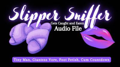 Slipper Sniffer Gets Caught And Eaten Giantess Vore, Cum Countdown Audio File