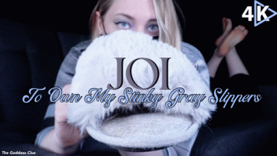 JOI To Own My Stinky Gray Slippers 4K