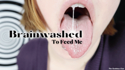 Mesmerized To Feed Me HD