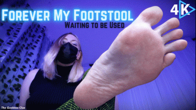 Forever My Footstool Waiting To Be Used 4K