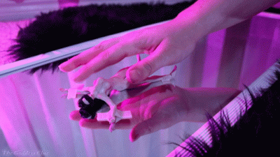 Plaything's Playtime HD