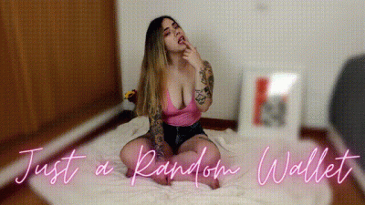 Just A Random Wallet