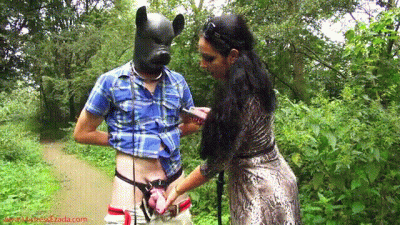 Electro Pet Play In The Park