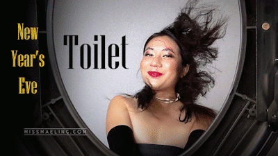 New Year's Eve Toilet