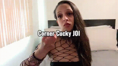 Corner Cucky JOI