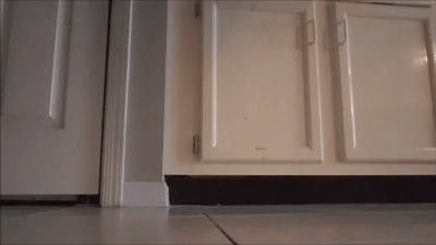 My Subby Is Such A Good Boy! He Follows His Commands Perfectly!