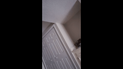 Quick Tease From Your Master