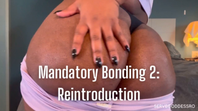 Mandatory Bonding 2: Reintroduction Royal Ro Ebony Ass Ignore