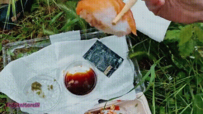 Messy Sushi Outdoors