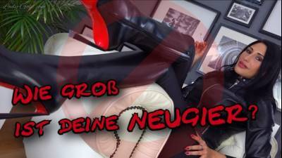 Wie Gross Ist Deine Neugier?