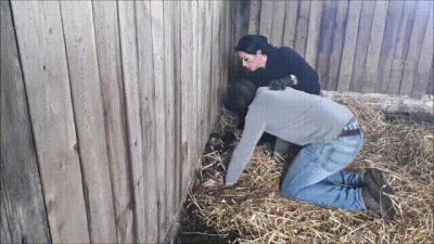 Punishment For The Groom