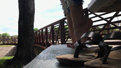 Park And Recreations 4