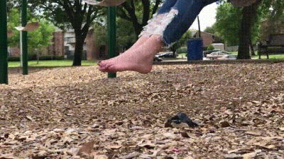 Park And Recreations 2
