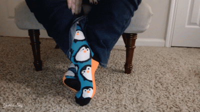 Perfect Socks