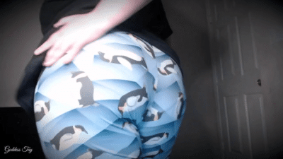 Legging Facesitting Tease