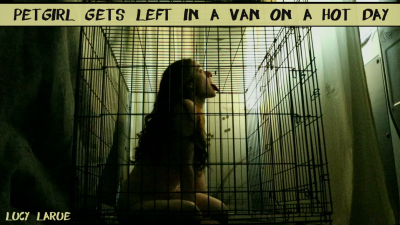Petgirl Gets Left In A Van On A Hot Day